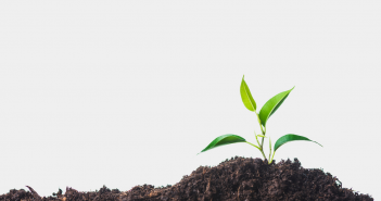 Gradual Revival Of Farm Activities - India Employer Forum