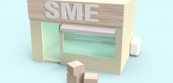 Technology for MSMEs - India Employer Forum