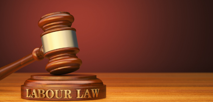 Labour Codes - India Employer Forum