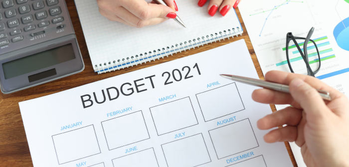 Budget 2021_India Employer Forum