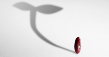 Human Capital - India Employer Forum