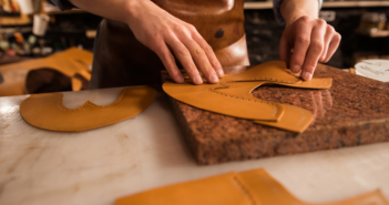 Leather Sector - India Employer Forum