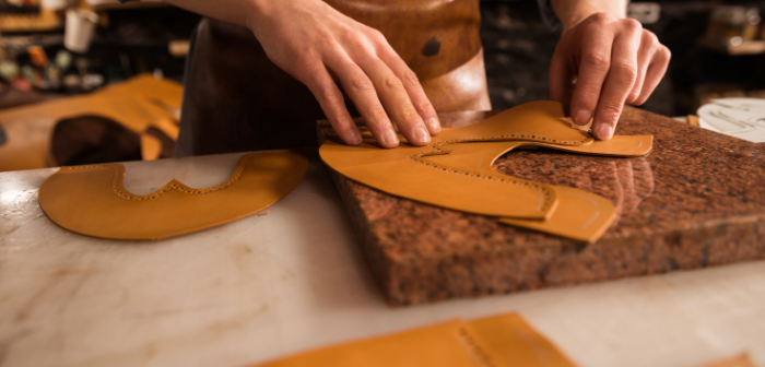 Leather Sector - India Employer Forum