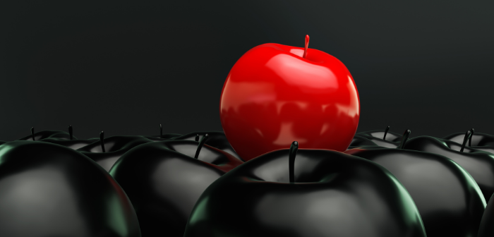 Role Of A Chief People Officer - India Employer Forum