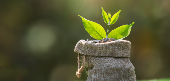 Employee Financial Wellbeing - India Employer Forum