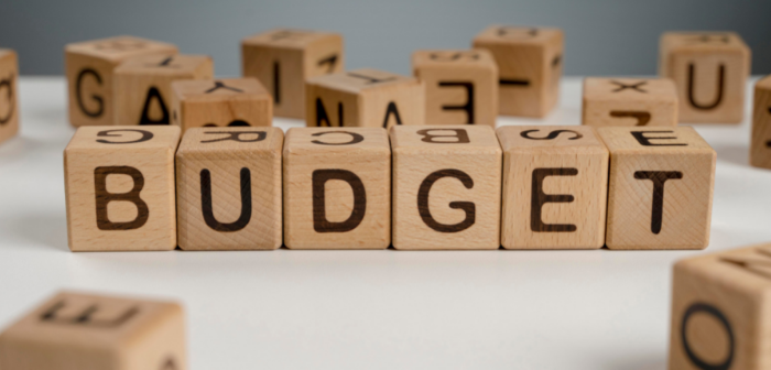 Union Budget 2022 - India Employer Forum